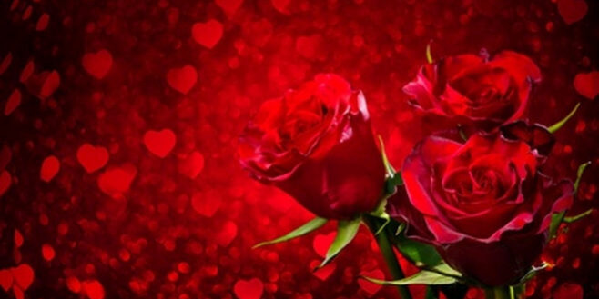 Die fünf Sprachen der Liebe