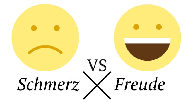 Schmerz und Freude Prinzip