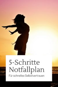 5-SchritteNotfallplan